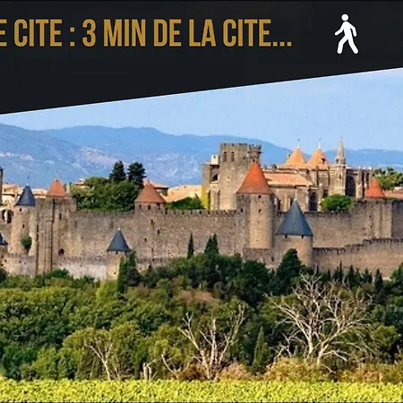 Appartement Les De Laure - L'or Vert, Avec Vue Sur Le Chateau, Parking Prive, Climatisation, A 160 M De La Cite Medievale